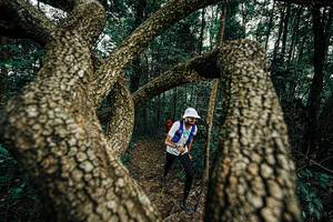 BIB: 
                            <button type="button" onclick="openModal(25393018)" class="btn btn-primary btn-sm float-right btn-popup" data-toggle="modal" data-target=".modal-high-quality">
                        <i class="fas fa-shopping-cart"></i> Add to Cart
                    </button>
                                            <button type="button" onclick="isThisMe(25393018, true)" class="btn btn-success btn-sm float-right btn-popup btn-isme hidden" data-toggle="tooltip" data-placement="bottom" title="นี่คือรูปของคุณใช่ไหม คลิกที่นี่เพื่อเอาเข้าอัลบั้ม">
                        <i class="fas fa-plus"></i> Add to album
                    </button>
                    <button type="button" onclick="isThisMe(25393018, false)" class="btn btn-warning btn-sm float-right btn-popup btn-isnotme hidden">
                        <i class="fas fa-ban"></i> Remove from album
                    </button>